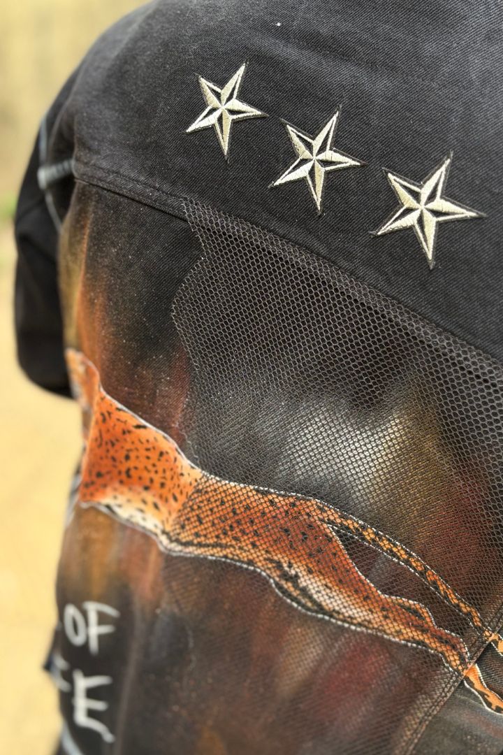 ‘MID-AIR MADNESS’ VALKYRE HAND PAINTED JACKET 3.0