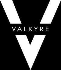 THIS IS NOT LOUIS VUITTON' VALKYRE JACKET – Valkyre International